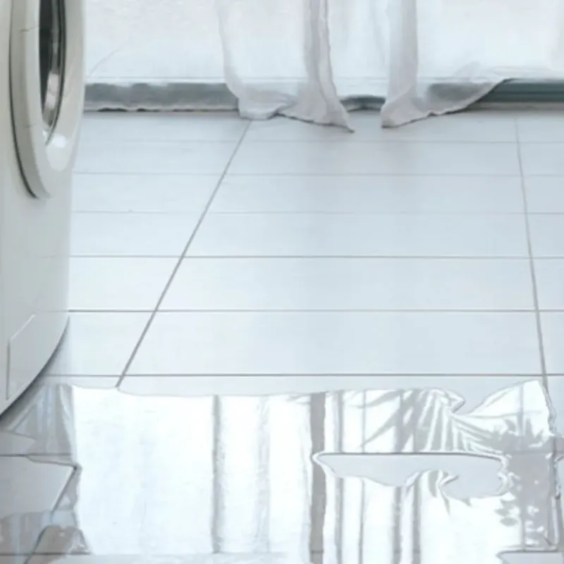 Appliance Leak Cleanup in Benton County, MS