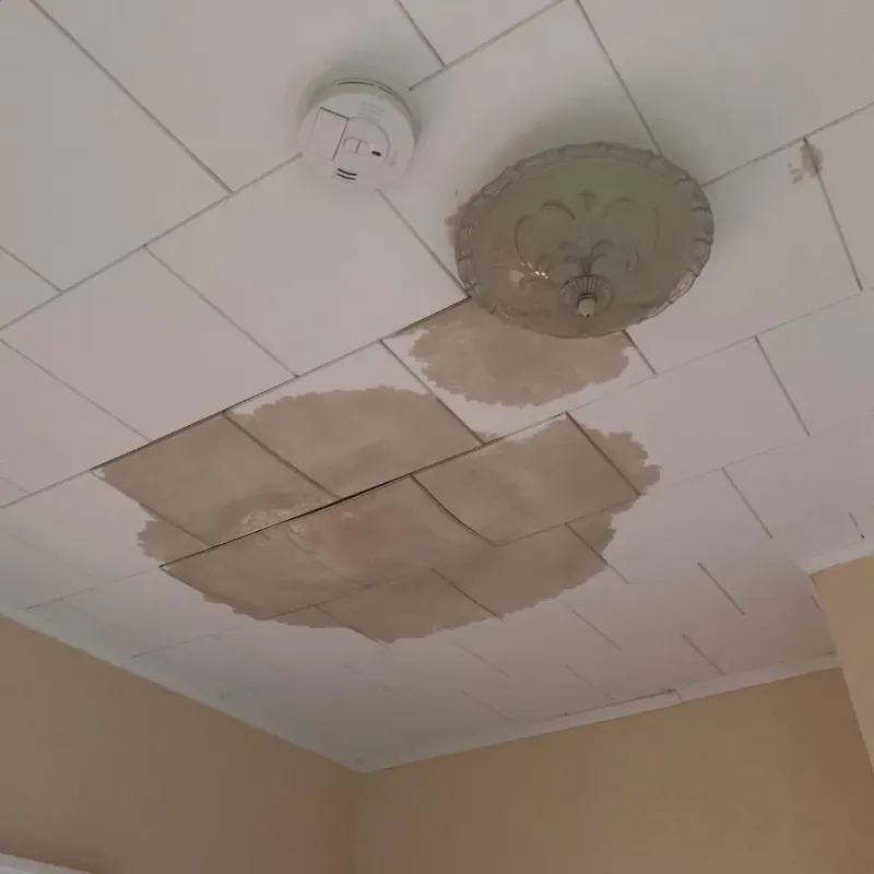 Ceiling Water Damage Repair in Benton County, MS