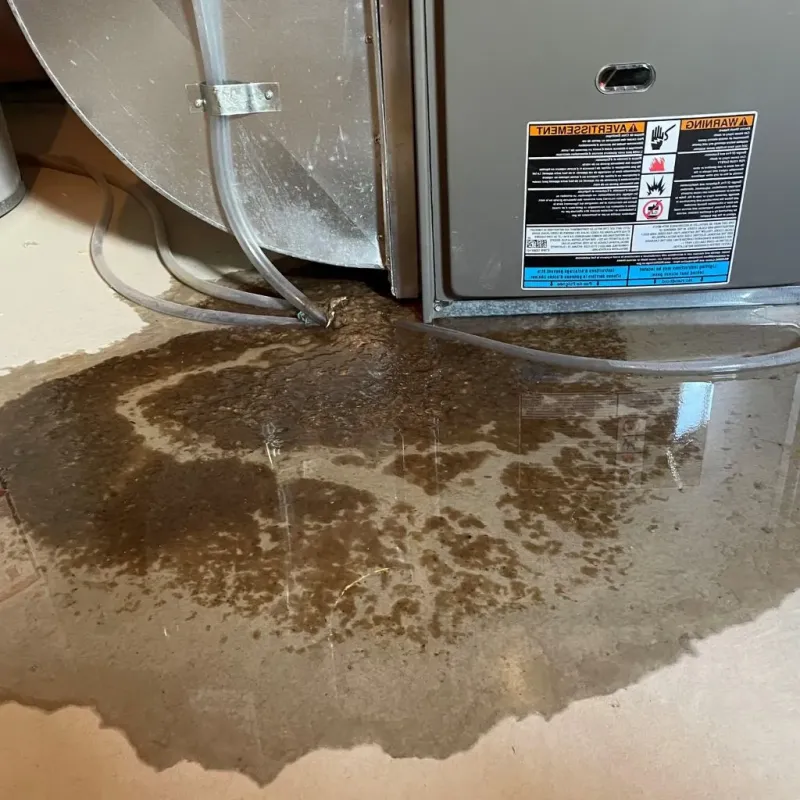 Pipe Burst and Leak Restoration in Benton County, MS