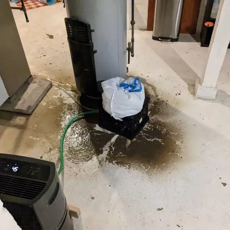 Sewage Backup Cleanup Service in Benton County, MS